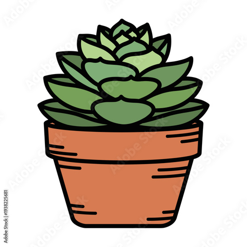 A vibrant illustration of a succulent plant in a terracotta pot against a white background.