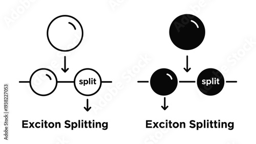 Exciton Splitting Process Diagram Scientific Illustration