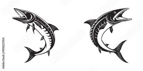 Two aggressive barracuda fish illustrations isolated on white