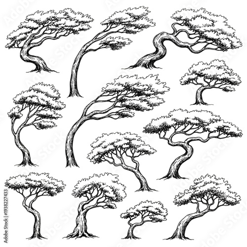 Artistic Wind Swept Tree Sketches and Botanical Line Art, Hand Drawn Nature Element Collection, Dynamic Curved Trunk Illustrations Vector