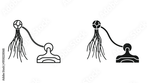 Neural Network Synapse Connection Concept