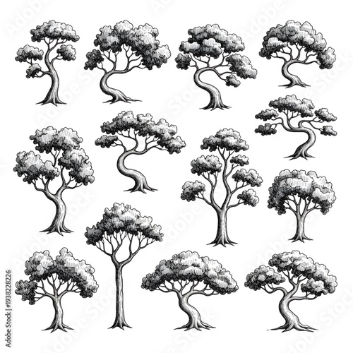 Shaded Botanical Sketch Set and Bonsai Tree Illustrations, Hand Drawn Nature Element Collection, Realistic Garden and Forestry Line Art Vector