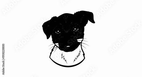 A black and white sketch of a small dog's face, looking forward