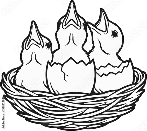 Three newly hatched chicks with mouths open in a woven nest