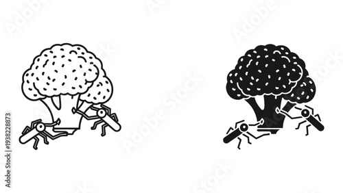Broccoli Insects Eating Food Healthy Vegetable Problem