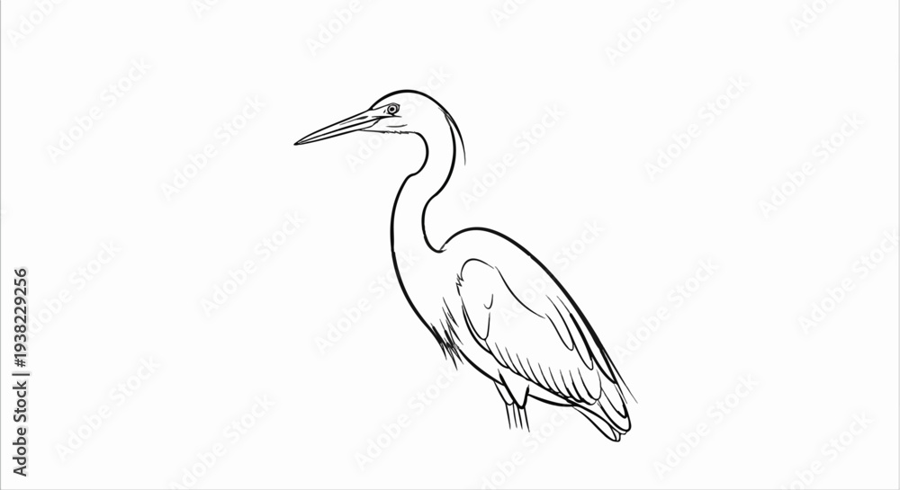 Fototapeta premium A minimalist black and white line drawing of a heron standing on its legs