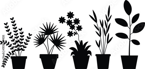 Set of potted indoor plants silhouettes, decorative houseplant icons with ceramic pots for home garden decor, botanical greenery and nature vector illustration