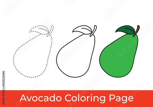 Avocado coloring page for kids vector illustration.