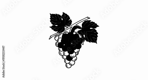 Black and white drawing of a cluster of grapes with leaves