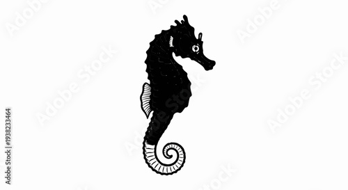 Black silhouette of a seahorse on a white background