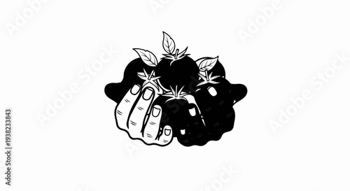 Hand holding ripe tomatoes with leaves