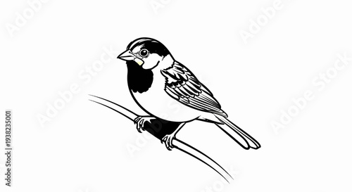 Detailed illustration of a small bird perched on a branch, black ink