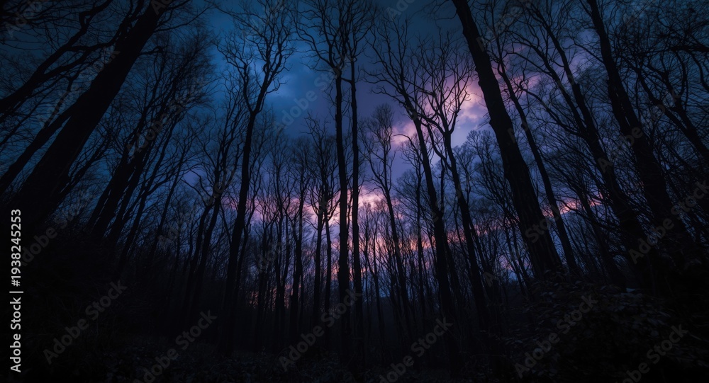 Naklejka premium Artistic portrayal of a shadowy forest with skeletal trees beneath a dark sky