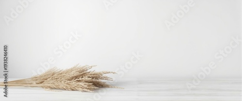 Panel kuchenny z motywem Calm Scandinavian backdrop featuring dried pampas grass on white wood table and minimal wall background