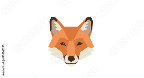 Close up of a fox face.