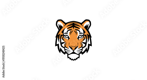 Close up of tiger face portrait.