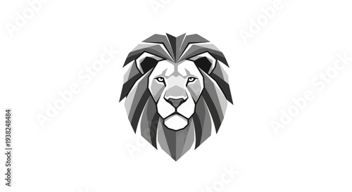 Closeup of a lions face.