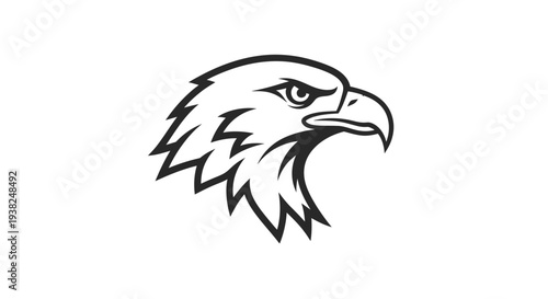 Closeup of American Bald Eagle Head.