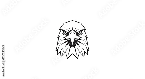 Closeup of Eagle Bird Head.