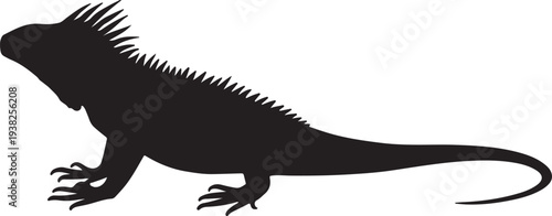 Minimal black silhouette of an iguana in side profile vector illustration