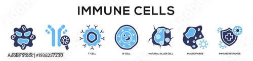 Glyphcolor - Immune Cells web banner icon vector illustration concept