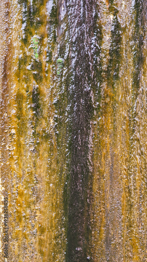 Obraz premium Textured surface of weathered wood with moss and water stains