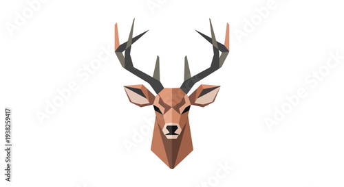 Deer Head with Antlers on White Background.