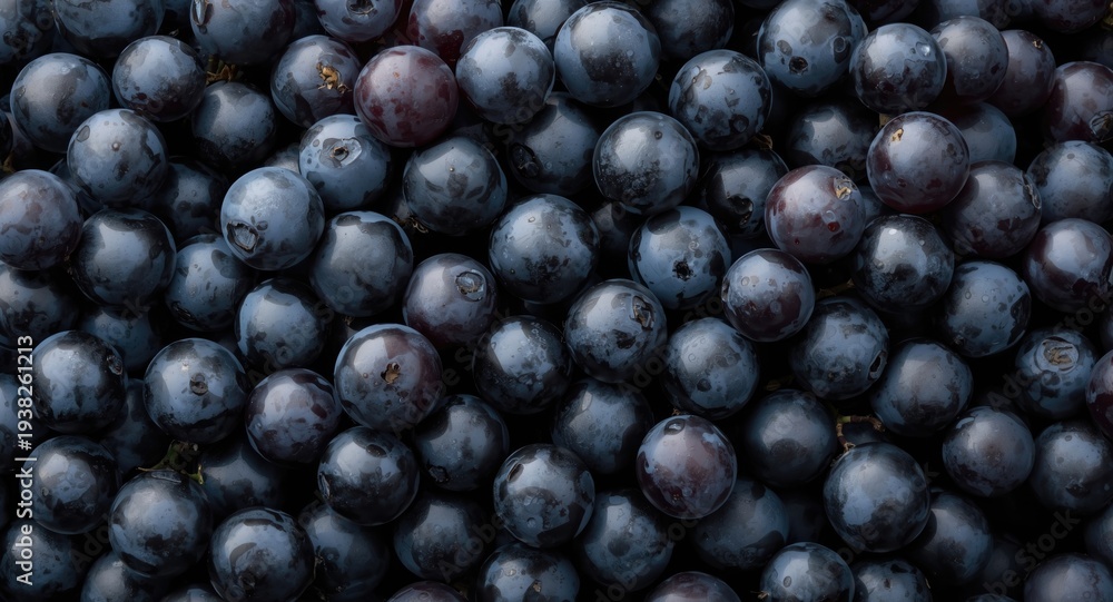 Fototapeta premium Black muscat grape cluster texture with soft natural lighting background