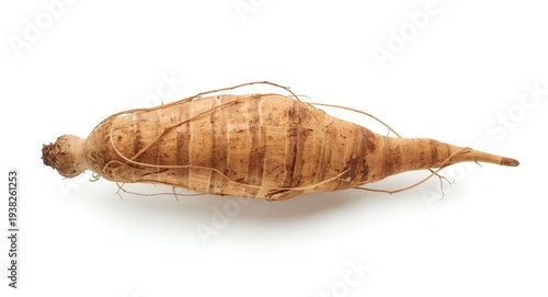 Dioscorea rubella root with visible natural patterns on clean white background
