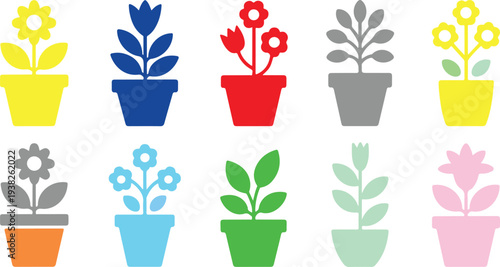 colorful potted plants and flowers in different pots and colors on white background
