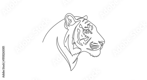 Detailed drawing of a tiger head.