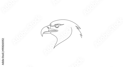 Detailed drawing of an eagle head.