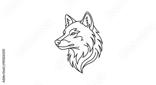 Detailed illustration of a wolf head.