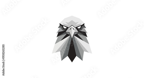 Detailed illustration of an eagle head.