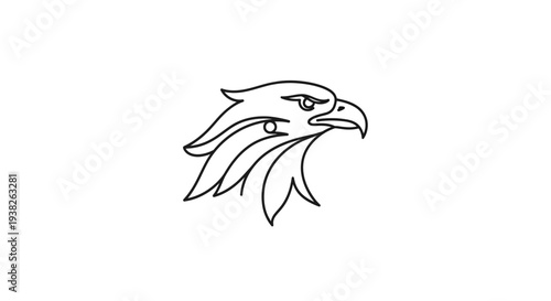 Detailed illustration of an eagle head.