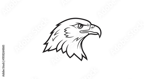Eagle Head Illustration Line Art Design.