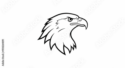 Eagle Head Illustration Profile Side View.