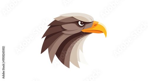 Eagle Head Illustration with Sharp Beak.