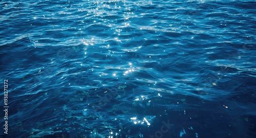 Wallpaper Mural Blue sea water glowing under daylight Torontodigital.ca