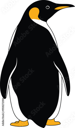 An adult Emperor penguin stands upright in profile, displaying its characteristic black, white, and yellow plumage on a plain background.