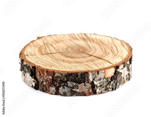 Tree slice, a round cut of wood with growth rings and bark, set on a white backdrop