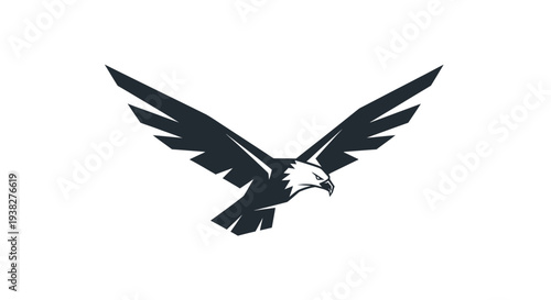 Eagle in Flight with Outstretched Wings.