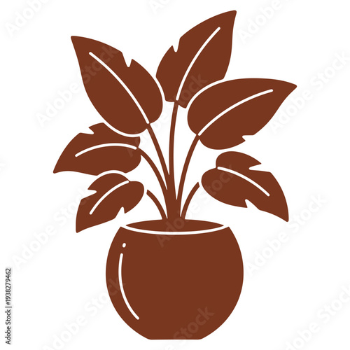 Elegant houseplant with broad leaves in modern pot casting a gentle shadow on plain background great for simple designs