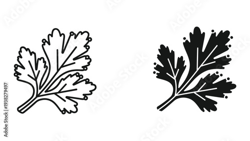 Parsley Leaf Vector Icon Food Ingredient