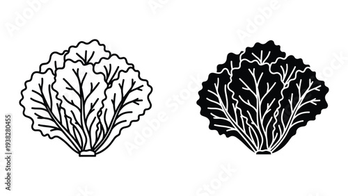 Lettuce Icon Organic Food Vector Graphic