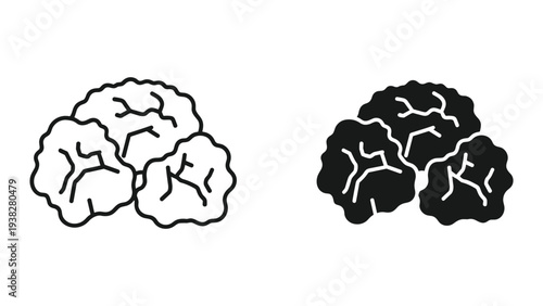 Brain Lobes Icons Knowledge Thinking Concept
