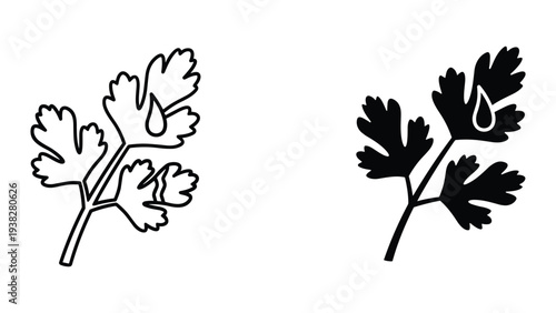 Cilantro Leaf Droplet Icon Vector Fresh Herb