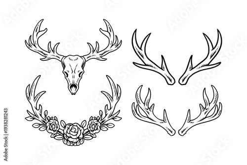 Hand Drawn Deer Antlers Skull and Floral Wreath Vector Set. Vintage Wildlife Hunting Vector Illustration. Outdoor Logo Design