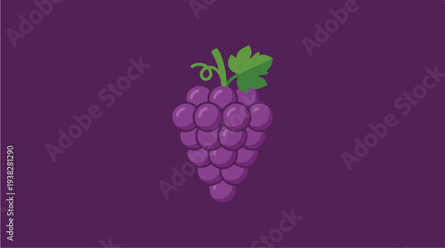 Illustration of a Bunch of Purple Grapes on a Dark Purple Background.