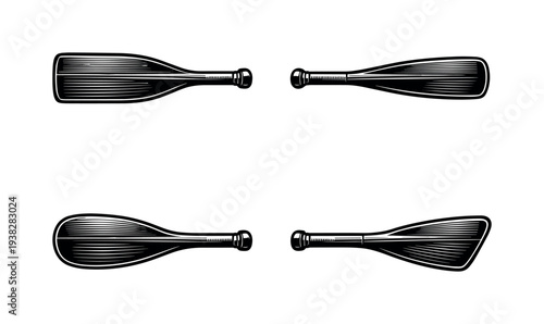 Vintage rowing oar set illustration black and white nautical sport equipment clipart